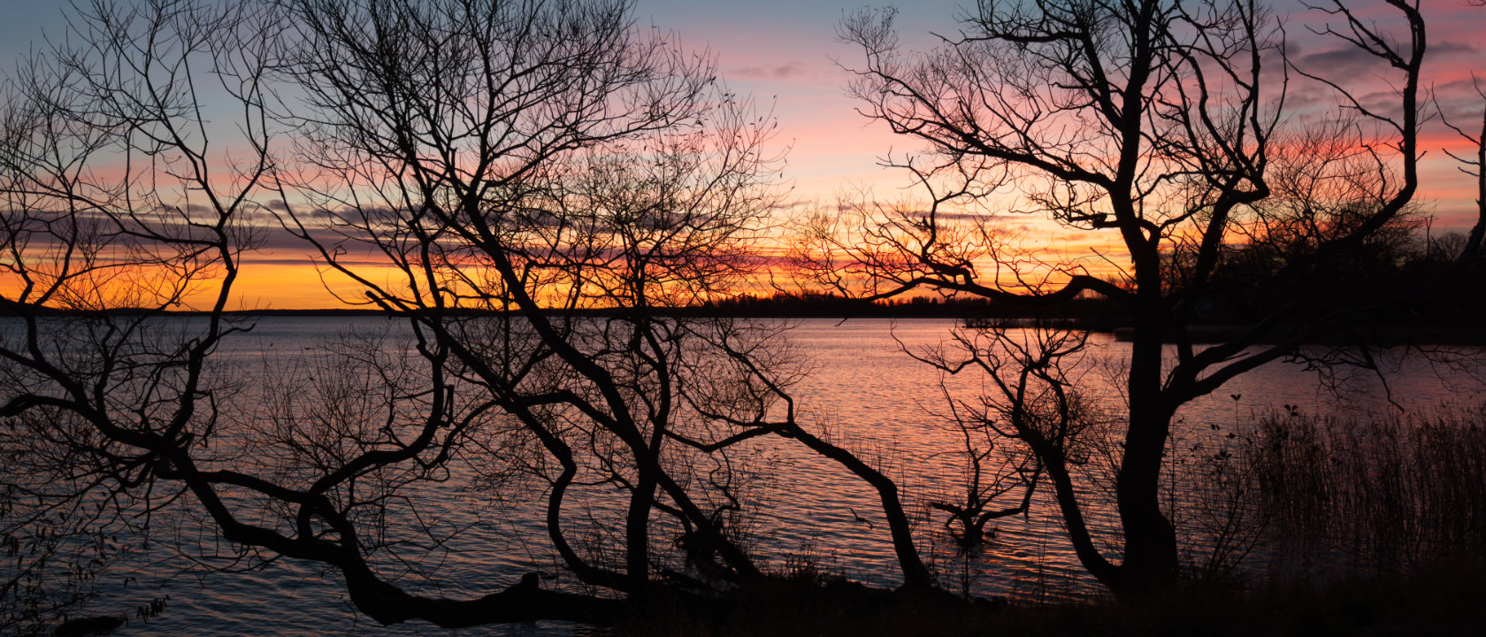 Solnedgång